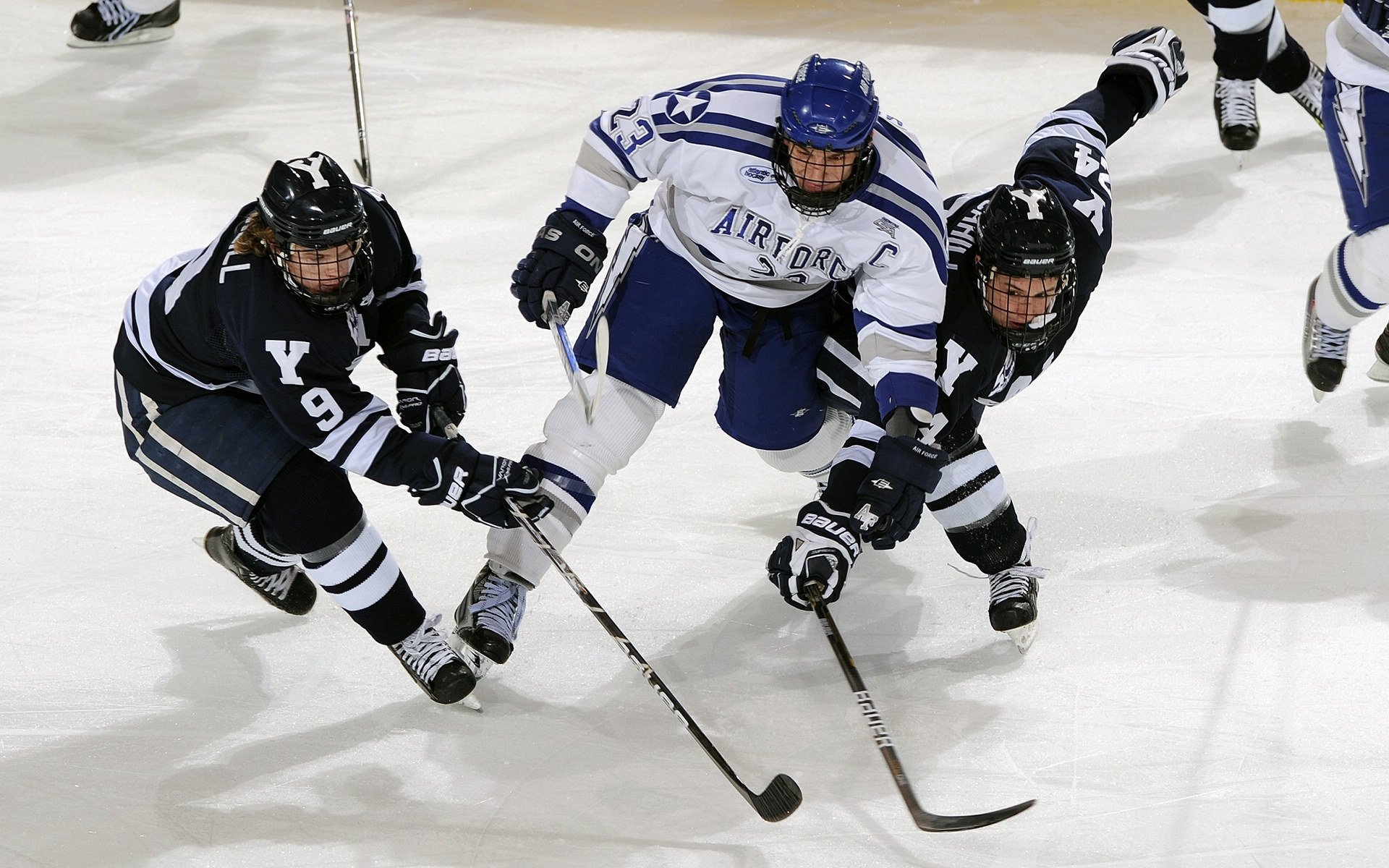 “东桃花岛：缆绳滑水赛场极速对决，观众激情四溢”