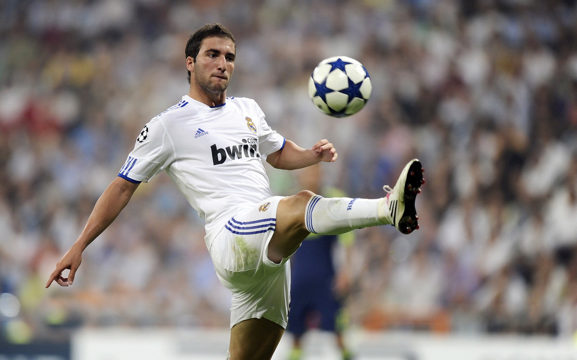 “南非羚羊队的防线支柱:埃尔斯·霍斯特的不可替代性”